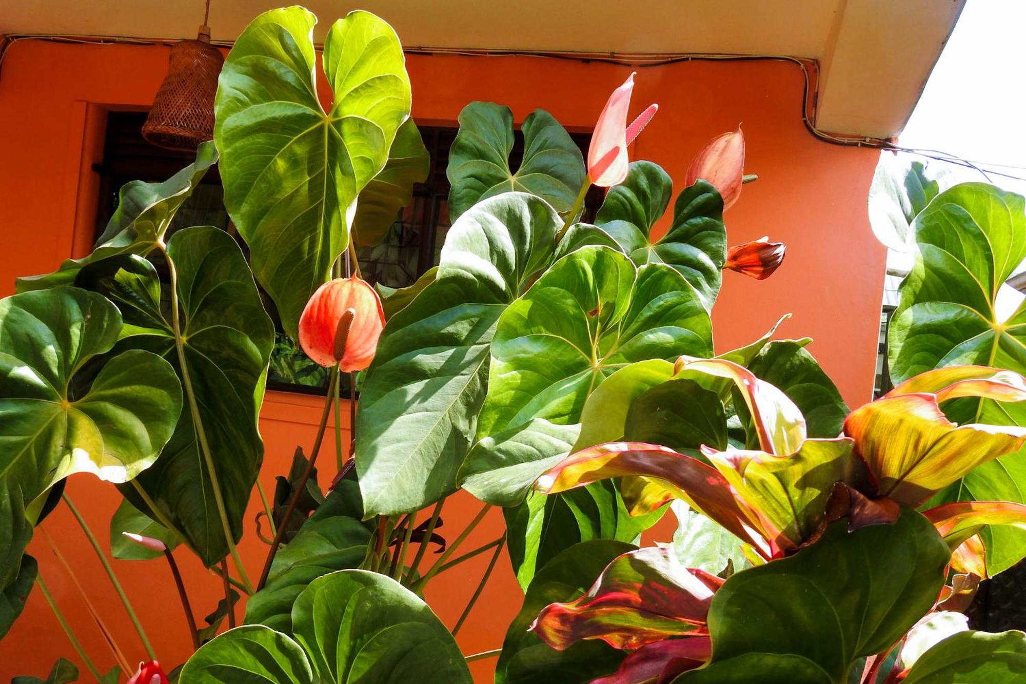 Westend Motel Fort Portal Zewnętrze zdjęcie